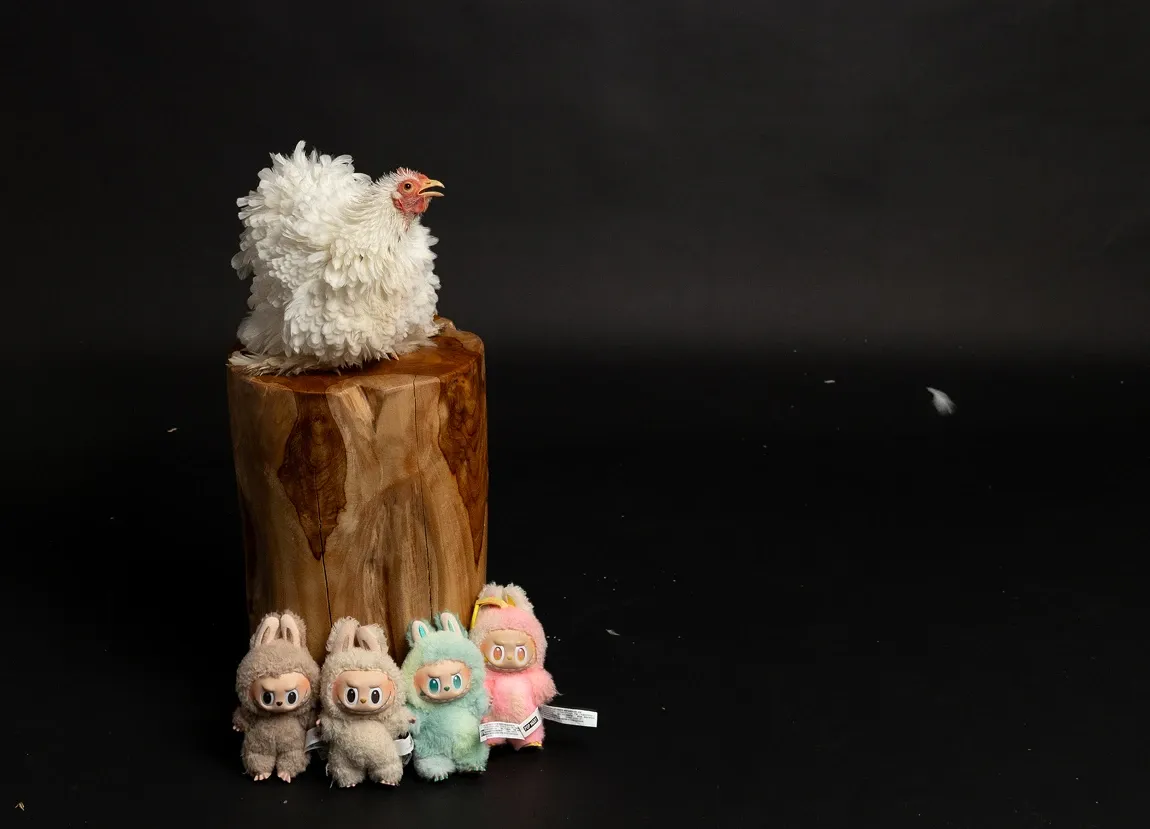 Self-portrait at Mira Mira Studios