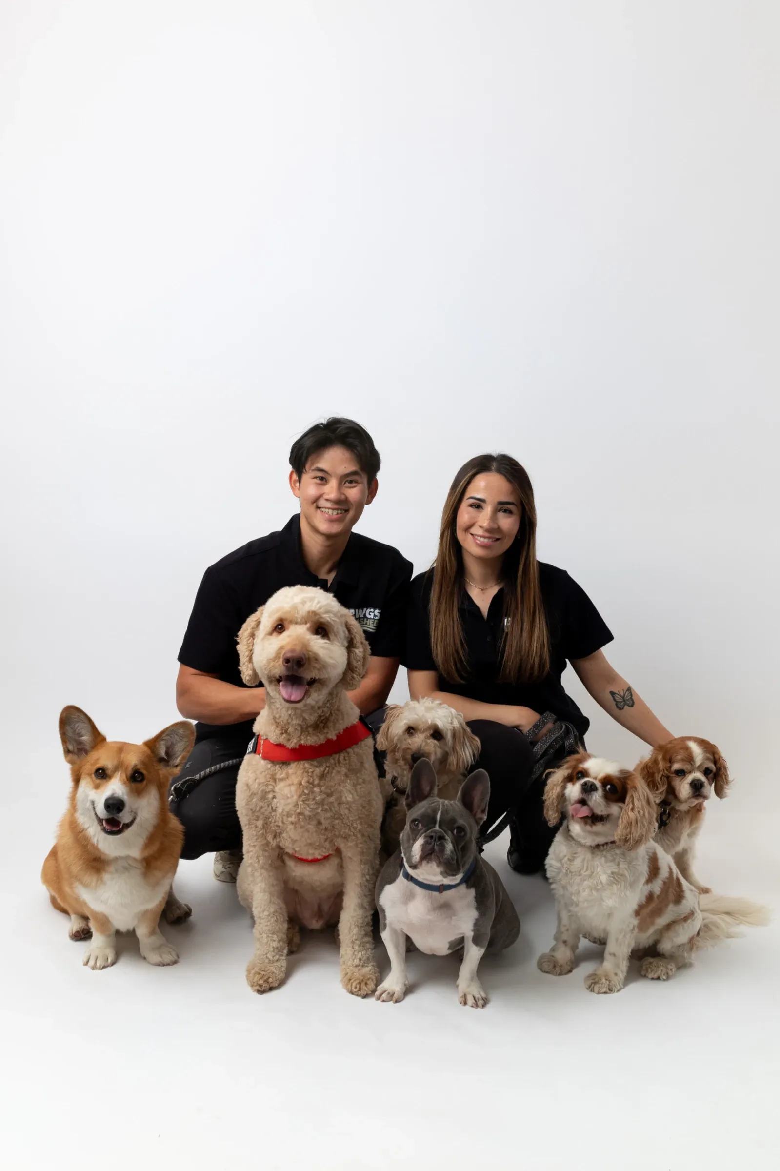 Pet portrait at Mira Mira Studios