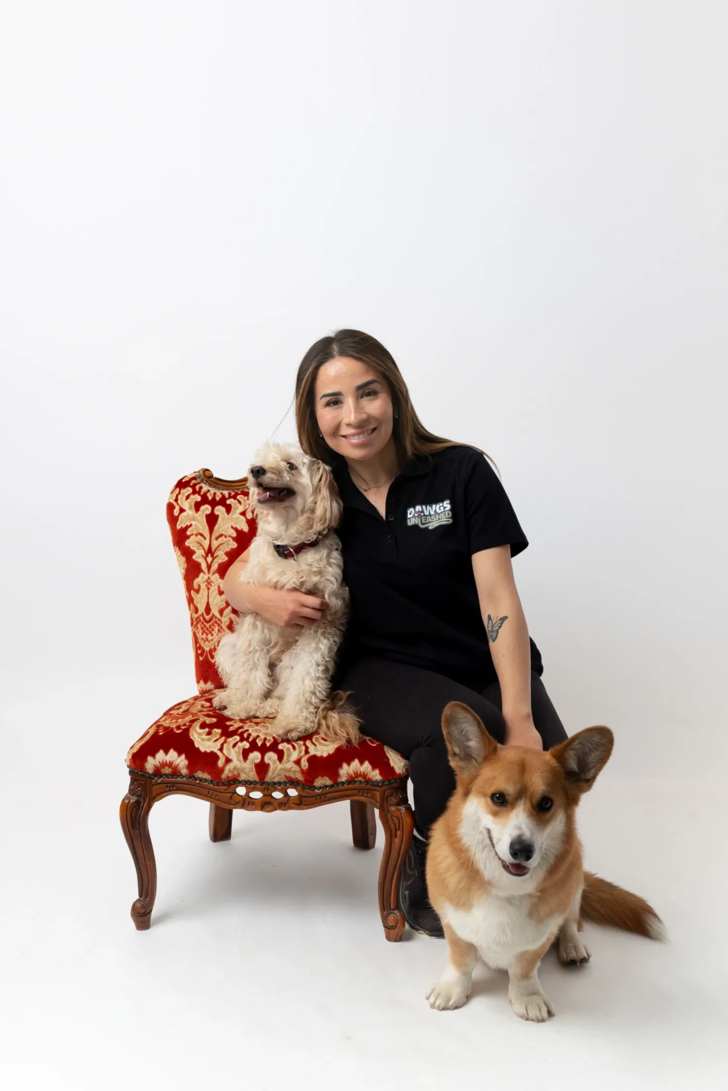 Pet portrait at Mira Mira Studios